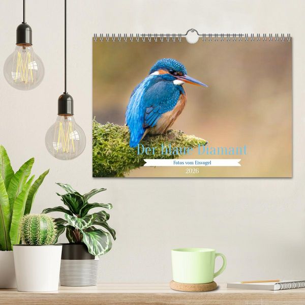 Produktbild: Der blaue Diamant - Fotos vom Eisvogel (Wandkalender 2026 DIN A4 quer), CALVENDO Monatskalender
