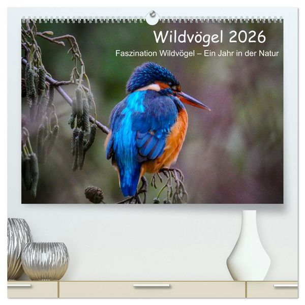Produktbild: Wildv&ouml;gel 2026 (hochwertiger Premium Wandkalender 2026 DIN A2 quer), Kunstdruck in Hochglanz