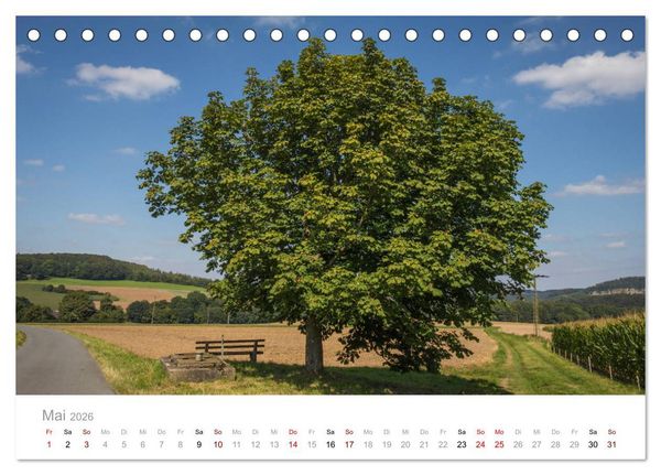 Produktbild: Wundersch&ouml;ne B&auml;ume im Sauerland (Tischkalender 2026 DIN A5 quer), CALVENDO Monatskalender