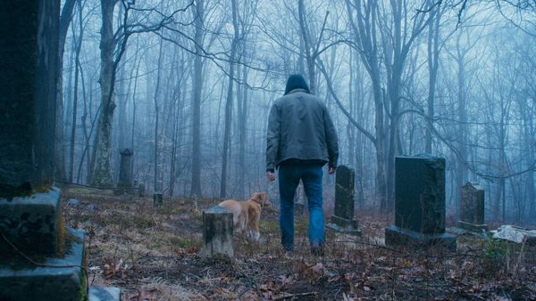 Produktbild: Good Boy - Trust his instincts