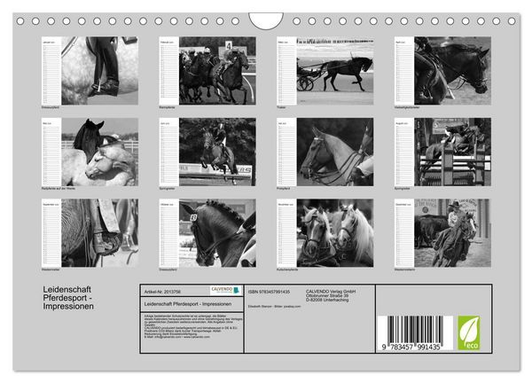 Produktbild: Leidenschaft Pferdesport - Impressionen (Wandkalender 2026 DIN A4 quer), CALVENDO Monatskalender