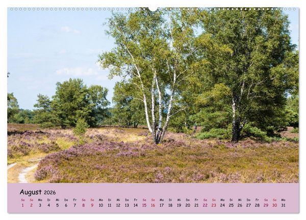 Produktbild: L&uuml;neburger Heide Wege (Wandkalender 2026 DIN A2 quer), CALVENDO Monatskalender