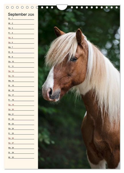 Produktbild: Isl&auml;nder Geburtstagskalender (Wandkalender 2026 DIN A4 hoch), CALVENDO Monatskalender