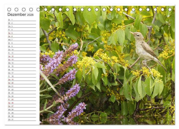 Produktbild: Faszinierendes Bulgarien (Tischkalender 2026 DIN A5 quer), CALVENDO Monatskalender