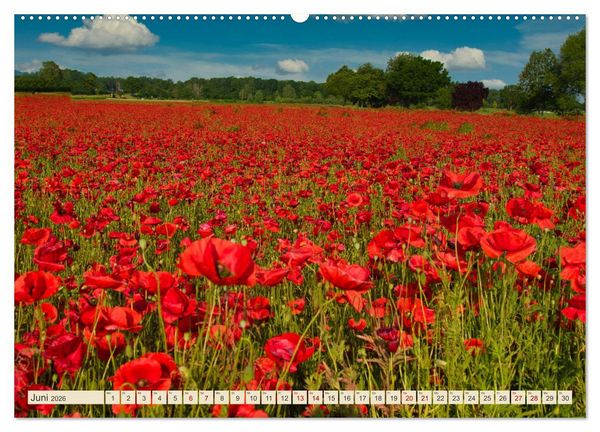 Produktbild: Landkreis Emmendingen - Streifz&uuml;ge durch den S&uuml;dwesten (Wandkalender 2026 DIN A2 quer), CALVENDO Monatskalender