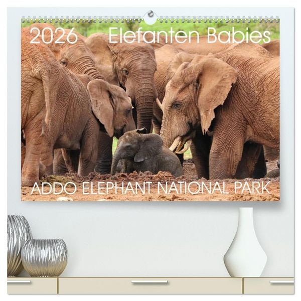 Produktbild: ADDO ELEPHANT NATIONAL PARK Elefanten Babies (hochwertiger Premium Wandkalender 2026 DIN A2 quer), Kunstdruck in Hochglanz