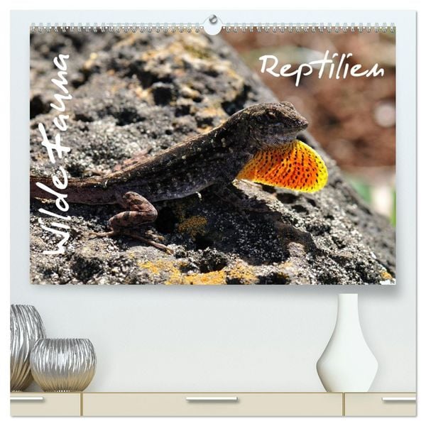 Wilde Fauna - Reptilien (hochwertiger Premium Wandkalender 2026 DIN A2 quer), Kunstdruck in Hochglanz