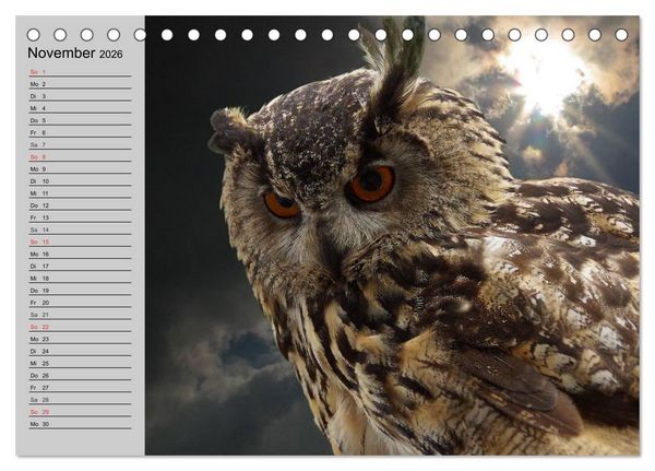 Produktbild: Eulen. W&auml;chter der Nacht (Tischkalender 2026 DIN A5 quer), CALVENDO Monatskalender