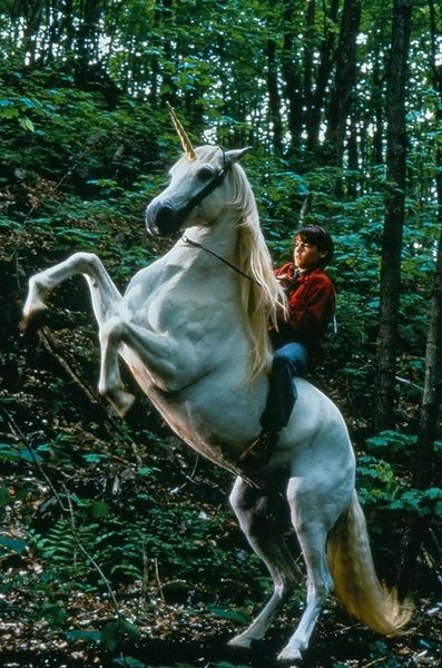 Produktbild: Nico, das Einhorn