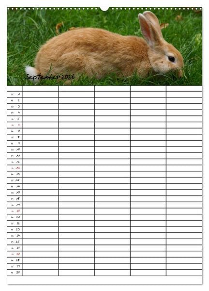 Produktbild: Meerschweinchen und Kaninchen Familienplaner (hochwertiger Premium Wandkalender 2026 DIN A2 hoch), Kunstdruck in Hochglanz