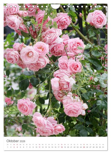 Produktbild: Gl&uuml;cklich mit Rosen (Wandkalender 2026 DIN A4 hoch), CALVENDO Monatskalender