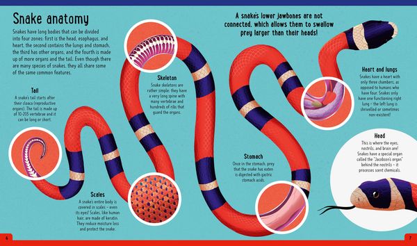 Produktbild: Snakes (A Day in the Life)