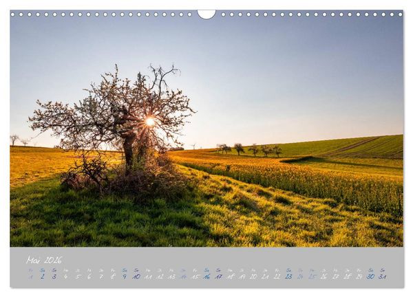 Produktbild: Ausfl&uuml;ge in der Heimat - Die Pfalz (Wandkalender 2026 DIN A3 quer), CALVENDO Monatskalender