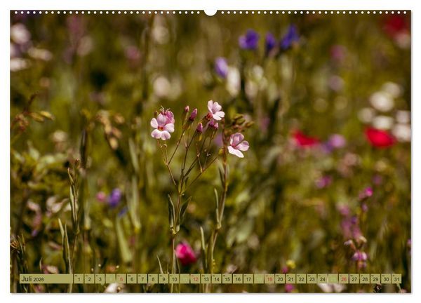 Produktbild: Wildwuchs 2026 (hochwertiger Premium Wandkalender 2026 DIN A2 quer), Kunstdruck in Hochglanz