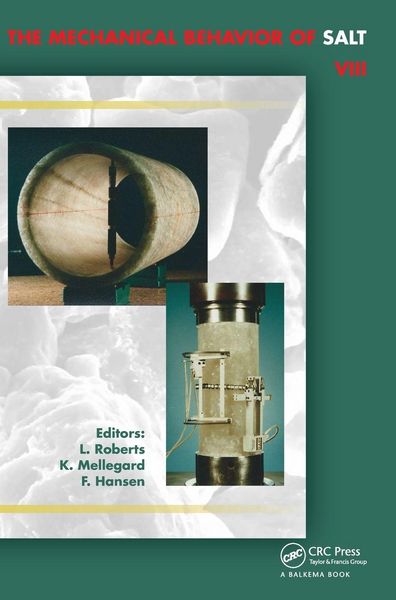 Produktbild: Mechanical Behaviour of Salt VIII