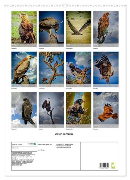 Produktbild: Adler in Afrika (Wandkalender 2027 DIN A2 hoch), CALVENDO Monatskalender