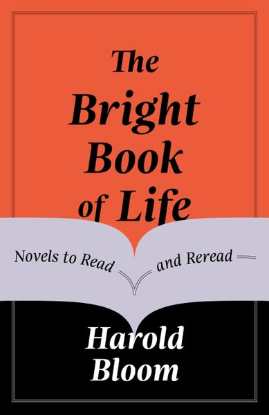Produktbild: The Bright Book of Life