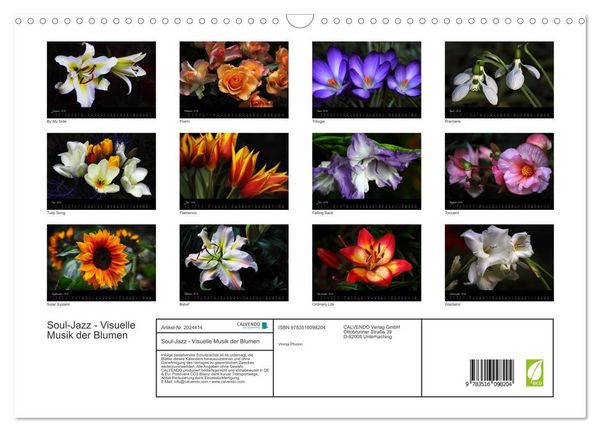Produktbild: Soul-Jazz - Visuelle Musik der Blumen (Wandkalender 2026 DIN A3 quer), CALVENDO Monatskalender
