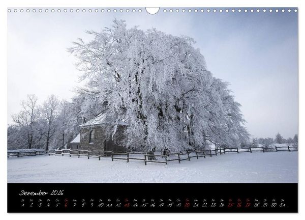 Produktbild: Hochmoor Hohes Venn (Wandkalender 2026 DIN A3 quer), CALVENDO Monatskalender