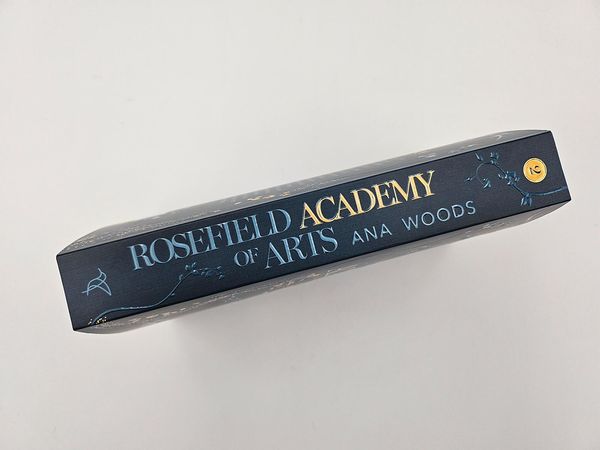 Produktbild: Rosefield Academy of Arts &ndash; The Promises We Make