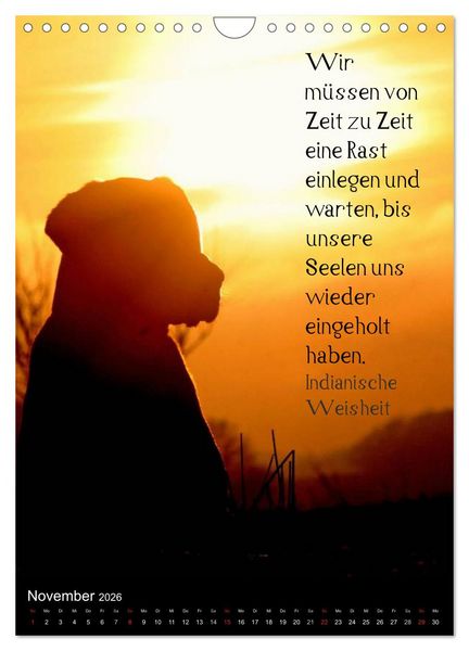 Produktbild: Der Broholmer (Wandkalender 2026 DIN A4 hoch), CALVENDO Monatskalender