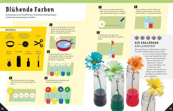 Produktbild: Coole Science-Experimente