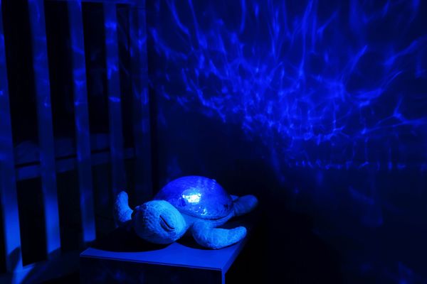 Produktbild: Tranquil Turtle&trade; - Aqua (Wiederaufladbar)