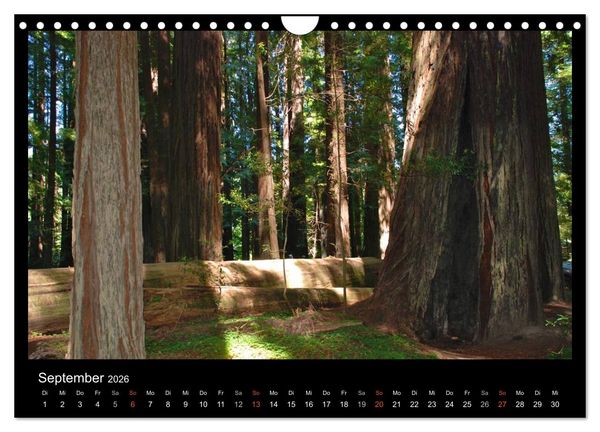 Produktbild: USA - Nordwesten (Wandkalender 2026 DIN A4 quer), CALVENDO Monatskalender