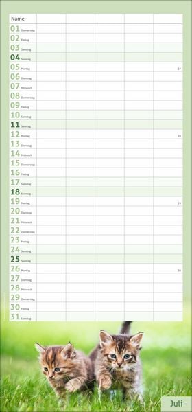 Produktbild: times&more Katzen Familienplaner 2027