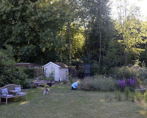 Produktbild: Bin im Garten