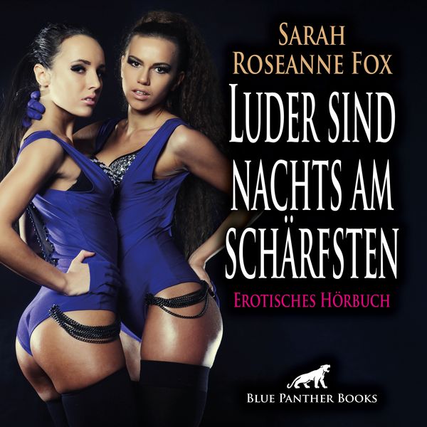 Produktbild: Luder sind nachts am sch&auml;rfsten / Erotik Audio Story / Erotisches H&ouml;rbuch