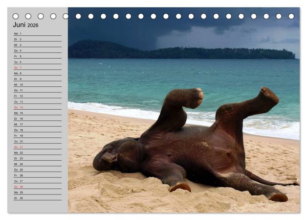 Produktbild: Elefanten. Spa&szlig; am Wasser (Tischkalender 2026 DIN A5 quer), CALVENDO Monatskalender