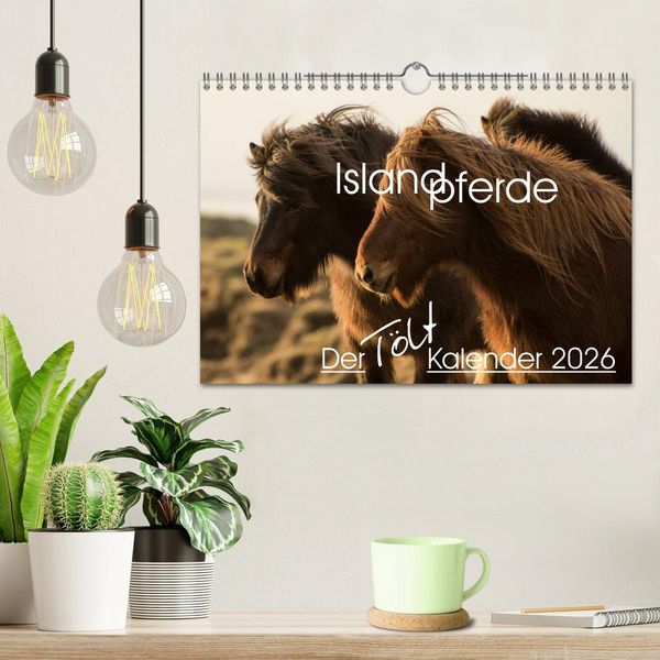 Produktbild: Islandpferde - Der T&ouml;lt Kalender (Wandkalender 2026 DIN A4 quer), CALVENDO Monatskalender