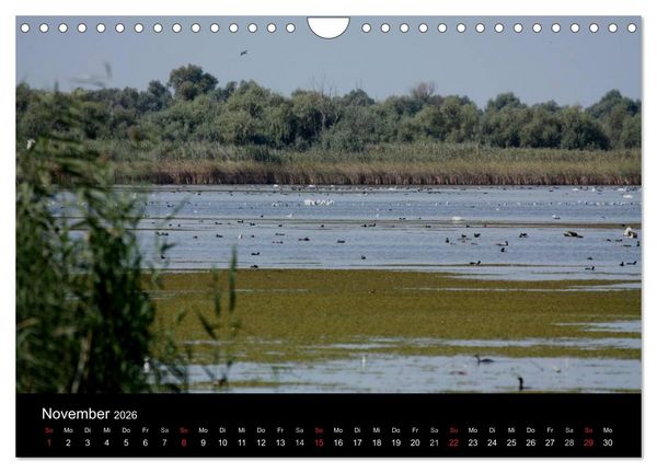Produktbild: Donaudelta (Wandkalender 2026 DIN A4 quer), CALVENDO Monatskalender