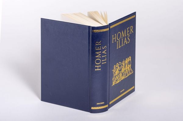 Produktbild: Homer, Ilias