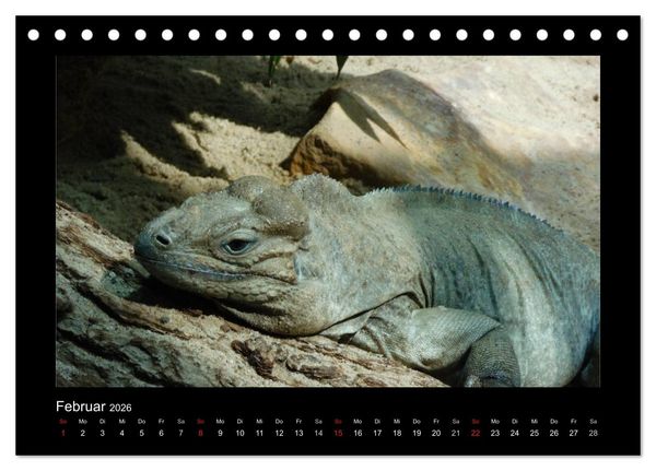 Produktbild: Faszinierende Reptilien (Tischkalender 2026 DIN A5 quer), CALVENDO Monatskalender