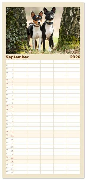 Produktbild: Familienplaner 2026 - Der Basenji mit 5 Spalten (Wandkalender, 21 x 45 cm) CALVENDO