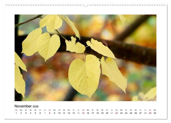 Produktbild: Mein Sehnsuchtsort, der Garten (hochwertiger Premium Wandkalender 2026 DIN A2 quer), Kunstdruck in Hochglanz