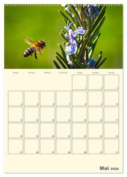 Produktbild: Bienen im Naturgarten (Wandkalender 2026 DIN A2 hoch), CALVENDO Monatskalender