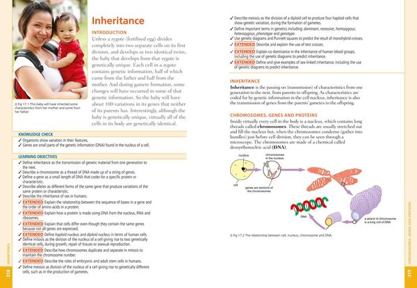 Produktbild: Cambridge Igcse(r) Biology: Student Book