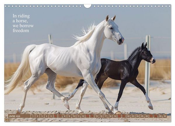 Produktbild: A Horse Makes You Complete (Wall Calendar 2026 DIN A3 landscape), CALVENDO 12 Month Wall Calendar