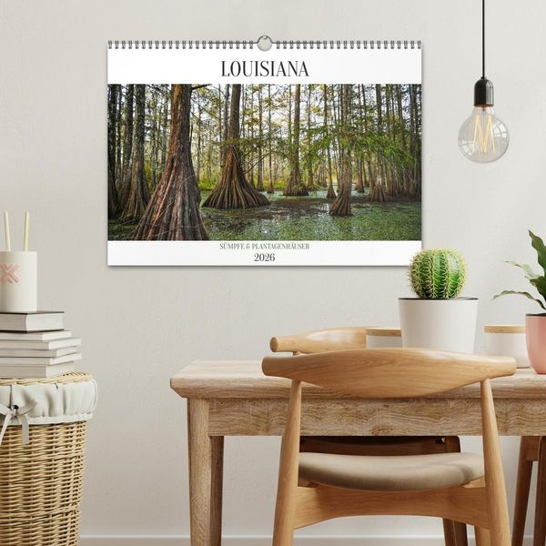 Produktbild: Louisiana - S&uuml;mpfe und Plantagenh&auml;user (Wandkalender 2026 DIN A3 quer), CALVENDO Monatskalender