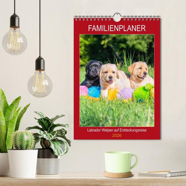 Produktbild: Familienplaner - Labrador Welpen entdecken die Welt (Wandkalender 2026 DIN A4 hoch), CALVENDO Monatskalender