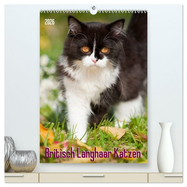 Produktbild: Britisch Langhaar Katzen (hochwertiger Premium Wandkalender 2026 DIN A2 hoch), Kunstdruck in Hochglanz