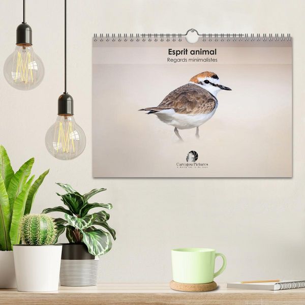 Produktbild: Esprit animal - Regards minimalistes (Calendrier mural 2026 DIN A4 vertical), CALVENDO calendrier mensuel