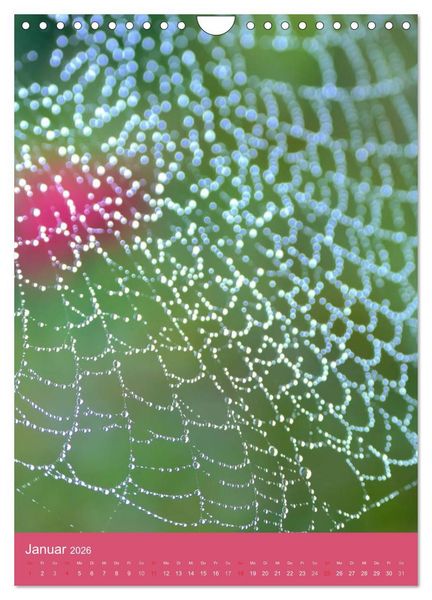 Produktbild: Natur-Romantik (Wandkalender 2026 DIN A4 hoch), CALVENDO Monatskalender