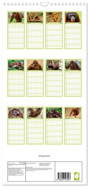 Produktbild: Familienplaner 2026 - Orang-Utans mit 5 Spalten (Wandkalender, 21 x 45 cm) CALVENDO