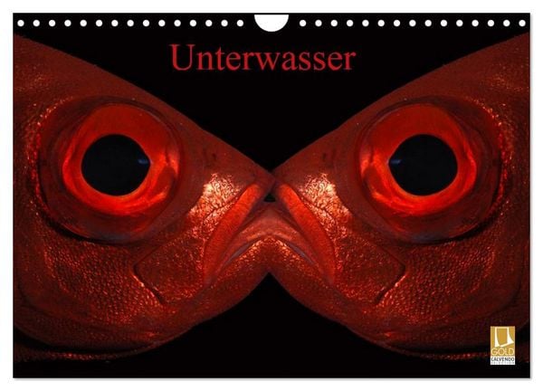Produktbild: Unterwasser (Wandkalender 2026 DIN A4 quer), CALVENDO Monatskalender