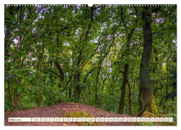 Produktbild: Im Zauber der W&auml;lder (Wandkalender 2026 DIN A2 quer), CALVENDO Monatskalender