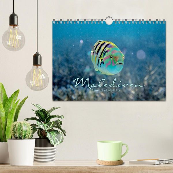 Produktbild: Unterwasserwelt der Malediven II (Wandkalender 2026 DIN A4 quer), CALVENDO Monatskalender